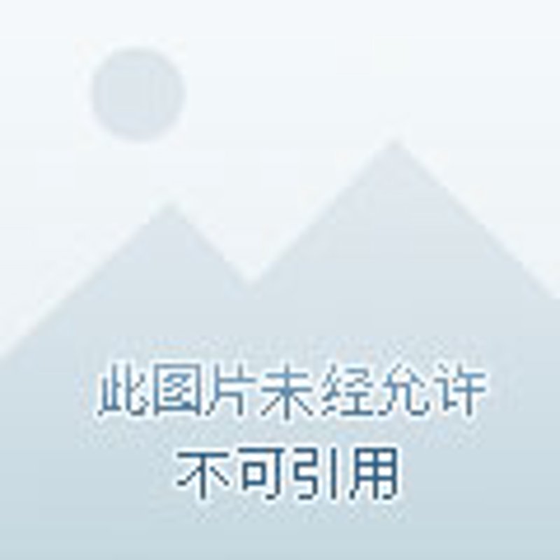 小程序开发在厦门:创新营销的利器